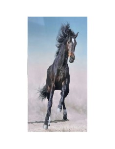 Laminado Caballo negro