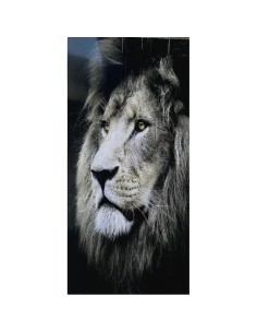 Laminado Cara de León