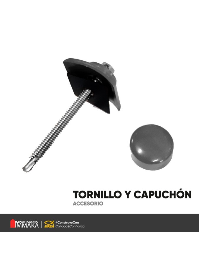TORNILLO DE METAL, CAPUCHON Y TAPA GRIS