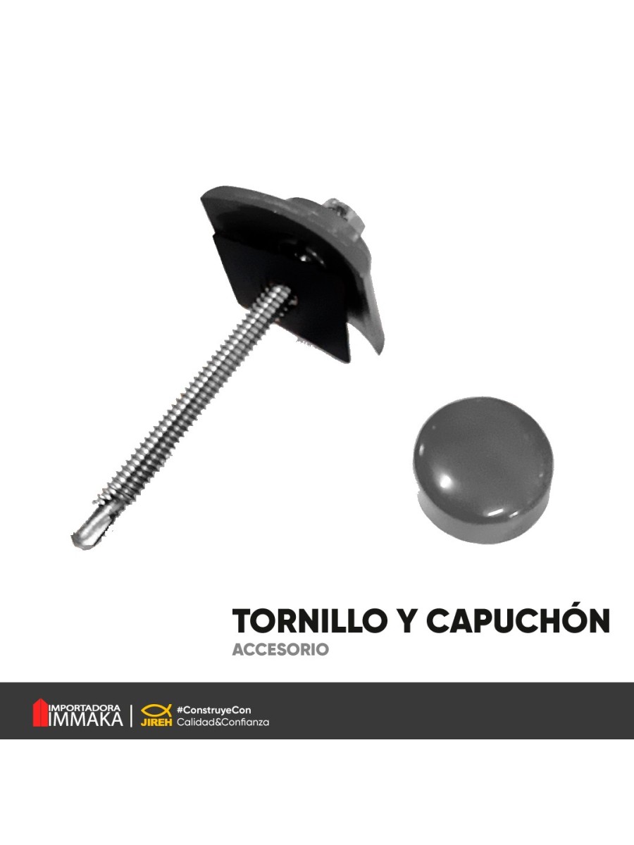 TORNILLO DE METAL, CAPUCHON Y TAPA GRIS