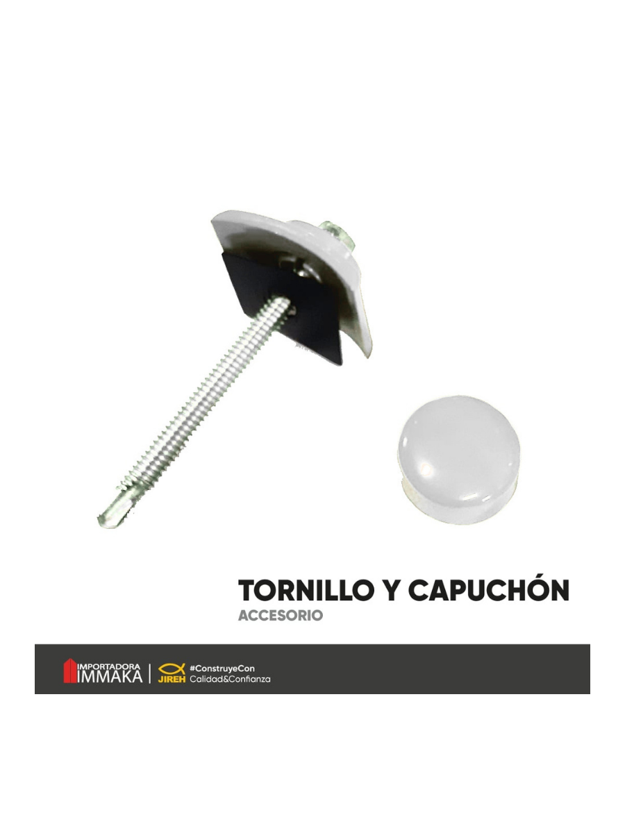 TORNILLO DE METAL, CAPUCHON Y TAPA TRANSPARENTE