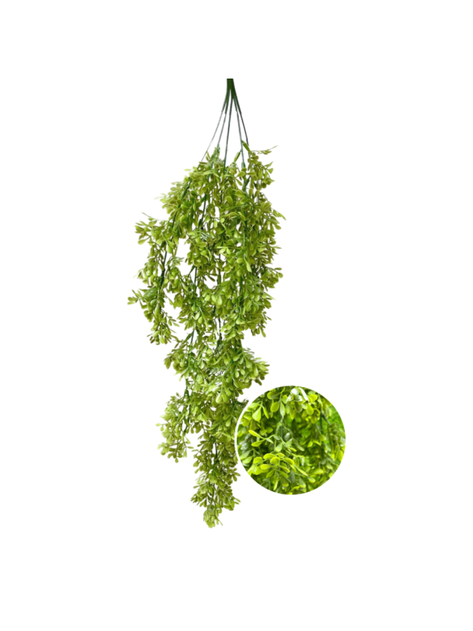 PLANTA COLGANTE BG082 50X50CM