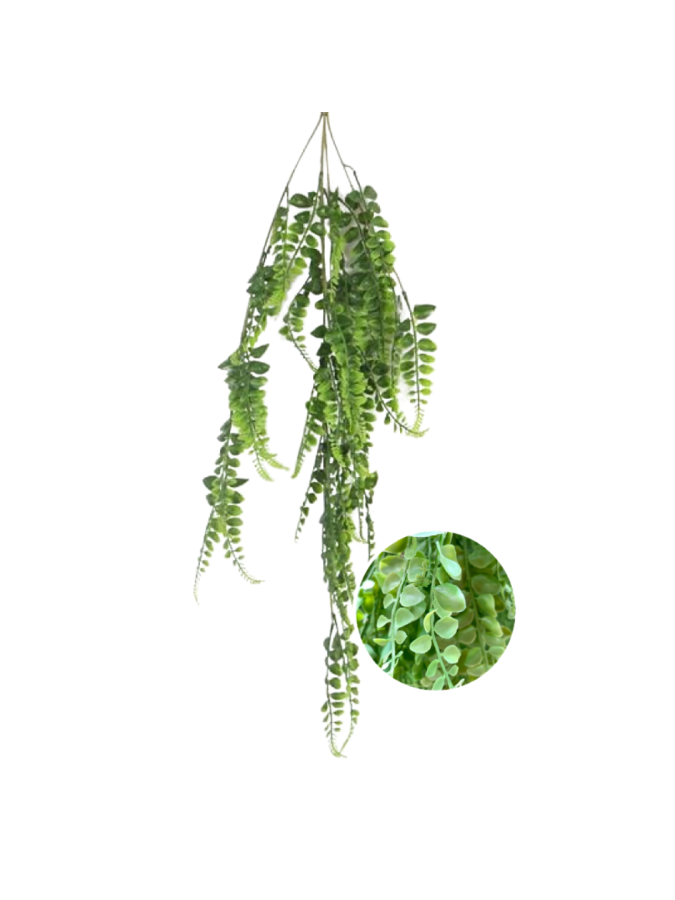 PLANTA COLGANTE BG055 50X50CM