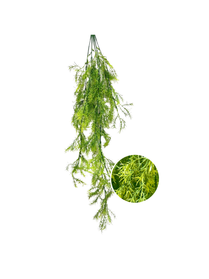 PLANTA COLGANTE BG040 50X50CM