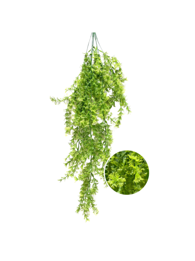 PLANTA COLGANTE BG039 50X50CM