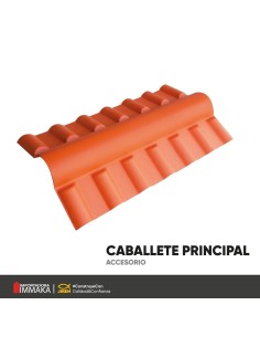 CABALLETE PRINCIPAL NARANJA 1050MMX504MM